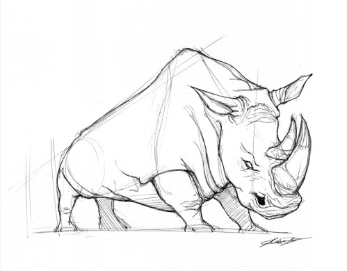 dan-25-min-rhino2 dan-25-min-rhino2