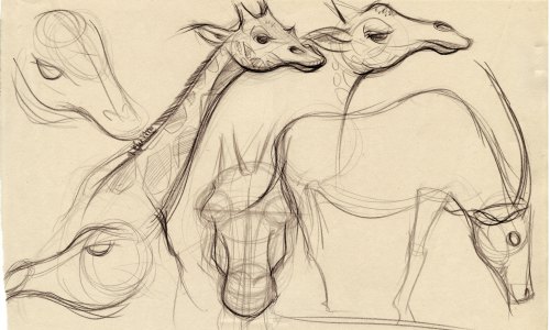 giraffe-web2 giraffe-web2