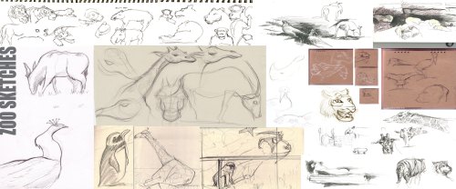 Lineweights-ZOO-Poster_4WEB