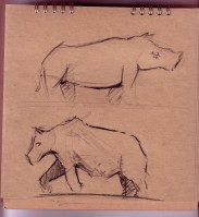 Zoo_rhino